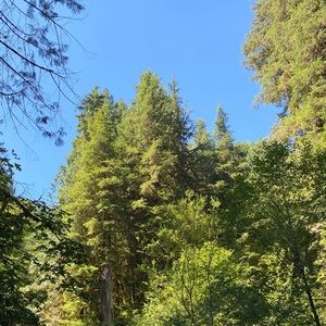 Meet your Posher, Amir